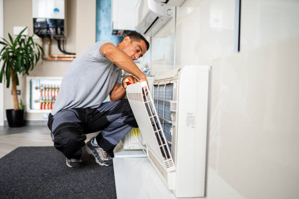 Best Affordable Duct Cleaning Services  in Armada, MI