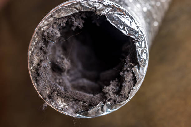 Best HVAC Maintenance and Cleaning  in Armada, MI